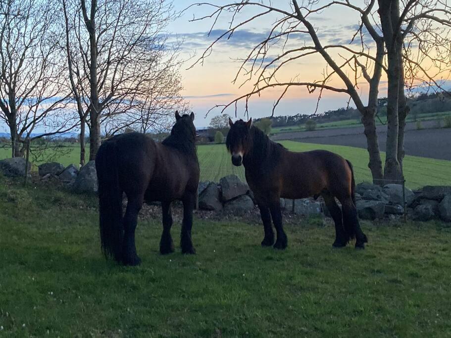 Fin Laegenhet Mitt Pa Bjaerehalvoen Daire Båstad Dış mekan fotoğraf