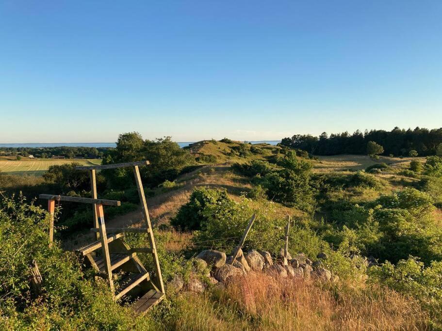 Fin Laegenhet Mitt Pa Bjaerehalvoen Daire Båstad Dış mekan fotoğraf